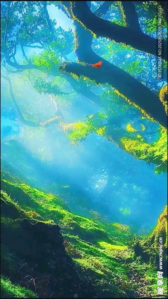 夢幻森林中的陽光灑落