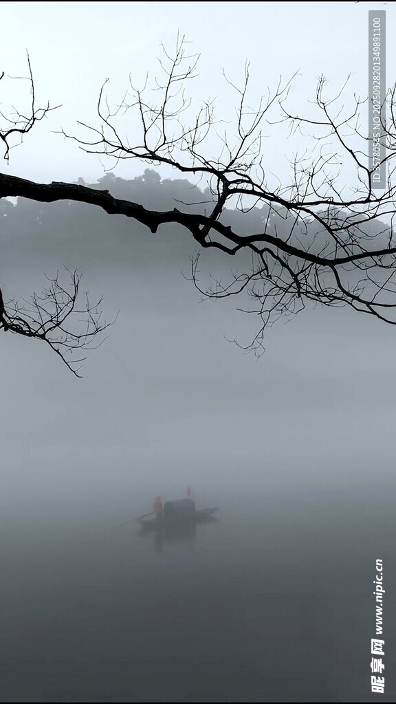 霧中孤枝景
