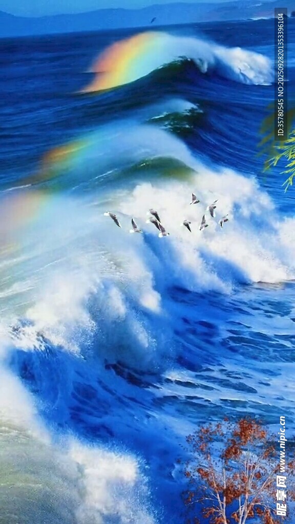 海上彩虹與奔騰浪花