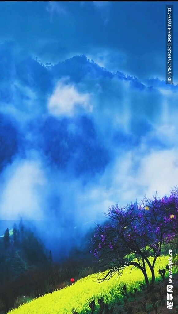 夢幻山林景色