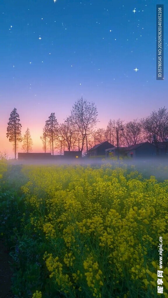 星空下的田野晨景