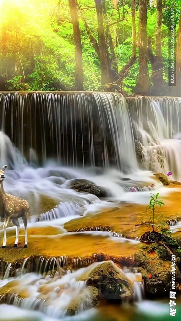 森林瀑布美景
