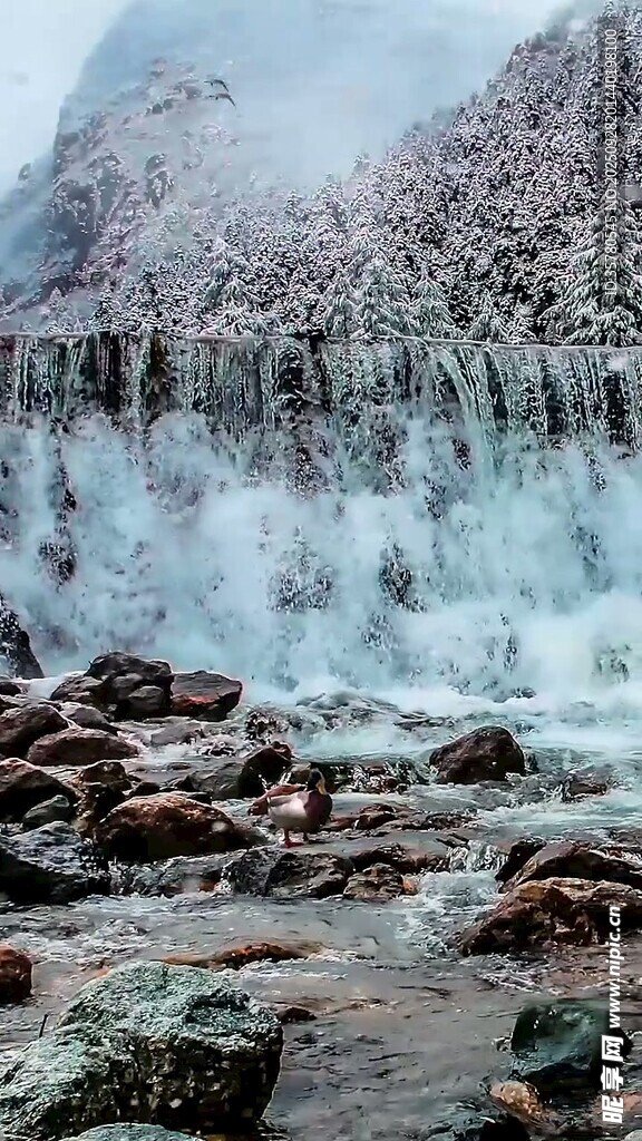 山間冰雪覆蓋的潺潺溪流