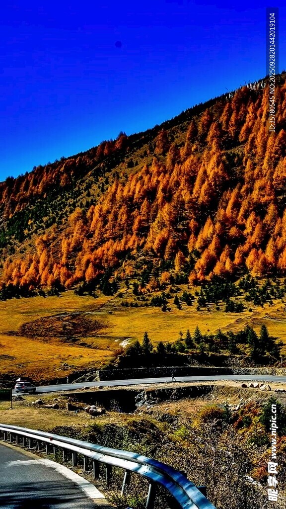 秋日山間公路美景