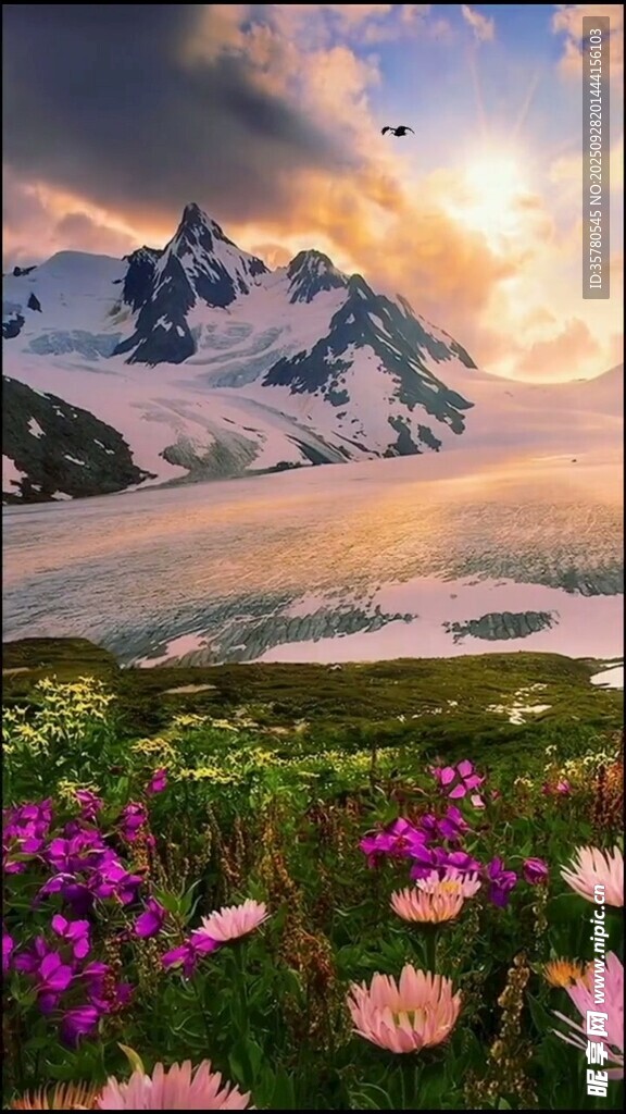 雪山花海的夢(mèng)幻景致