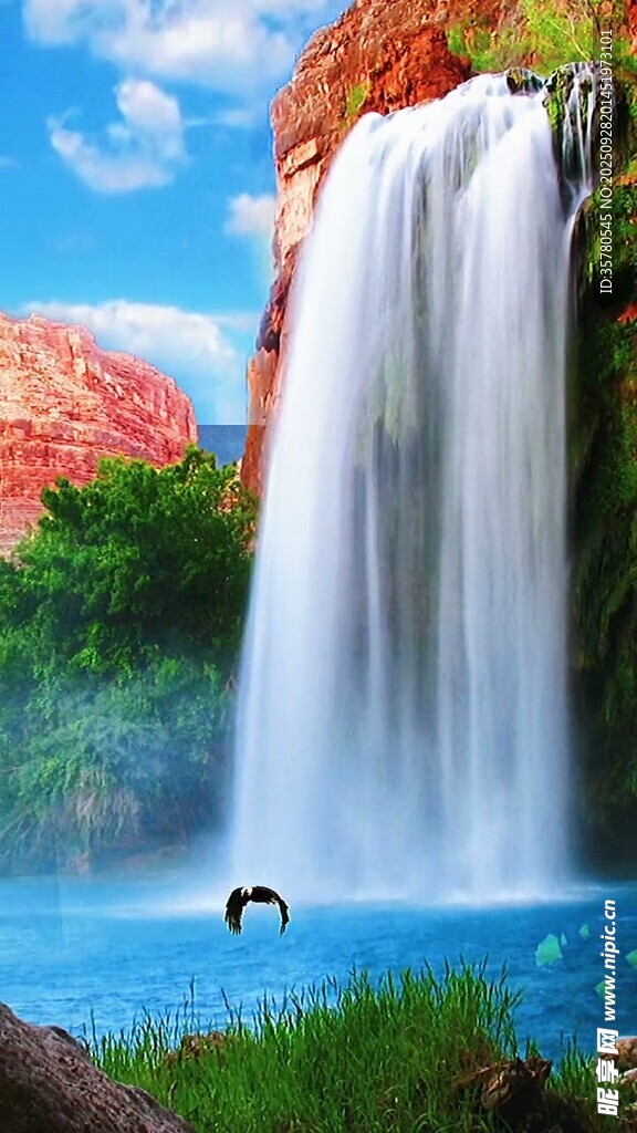 瀑布邊的孤馬美景