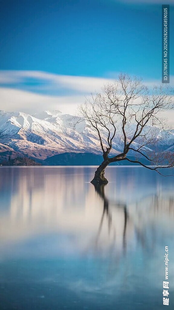 湖畔孤樹映雪山美景