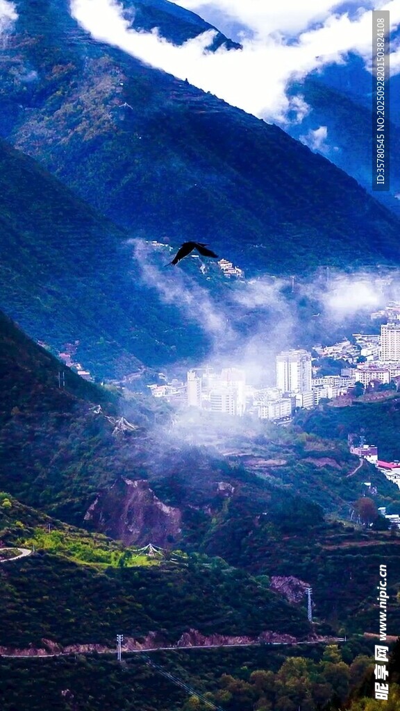 高山云海間的翱翔美景
