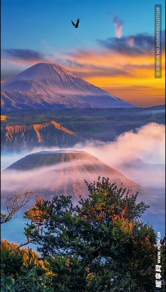 壯麗山間云海日出景觀