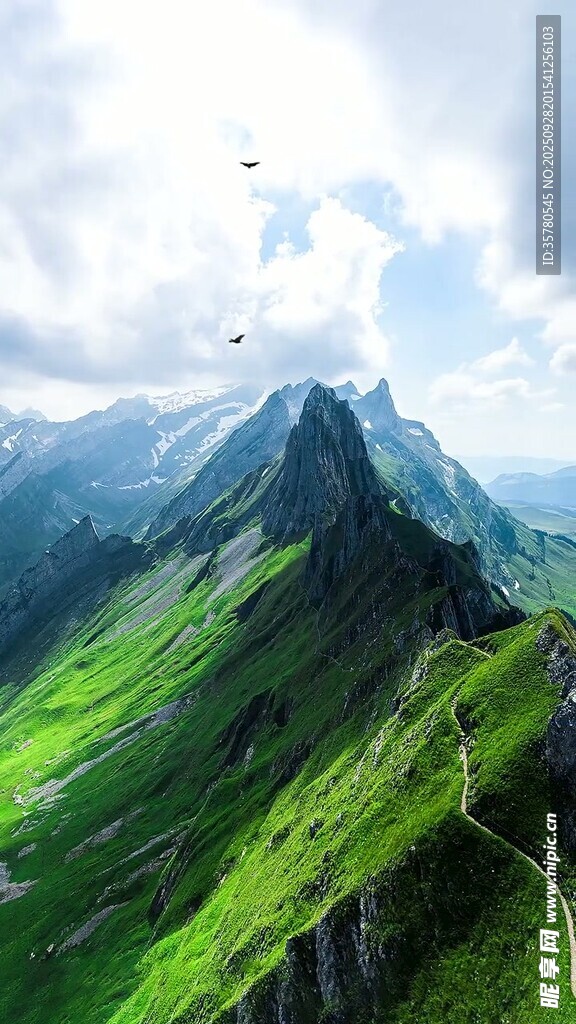 高山綠野間的壯麗美景