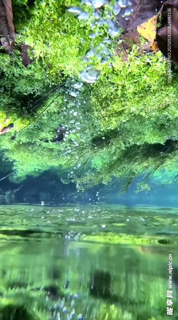 靜謐山林中的清澈湖水