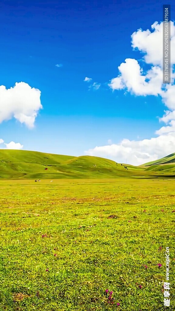 山水自然風景視頻素材