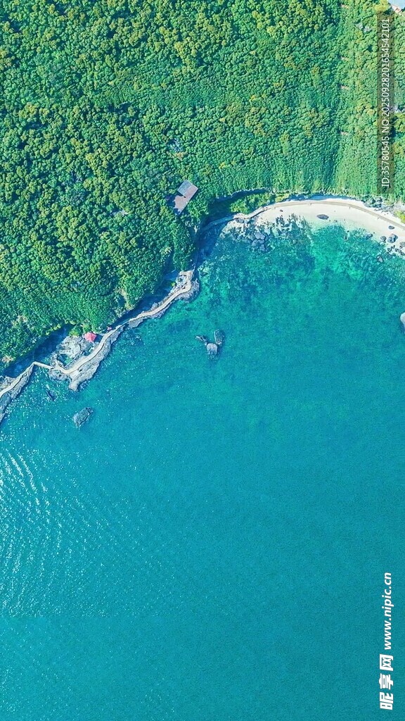 俯瞰碧海與蔥郁海岸