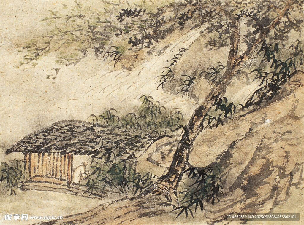 山間小屋旁的繁茂老樹