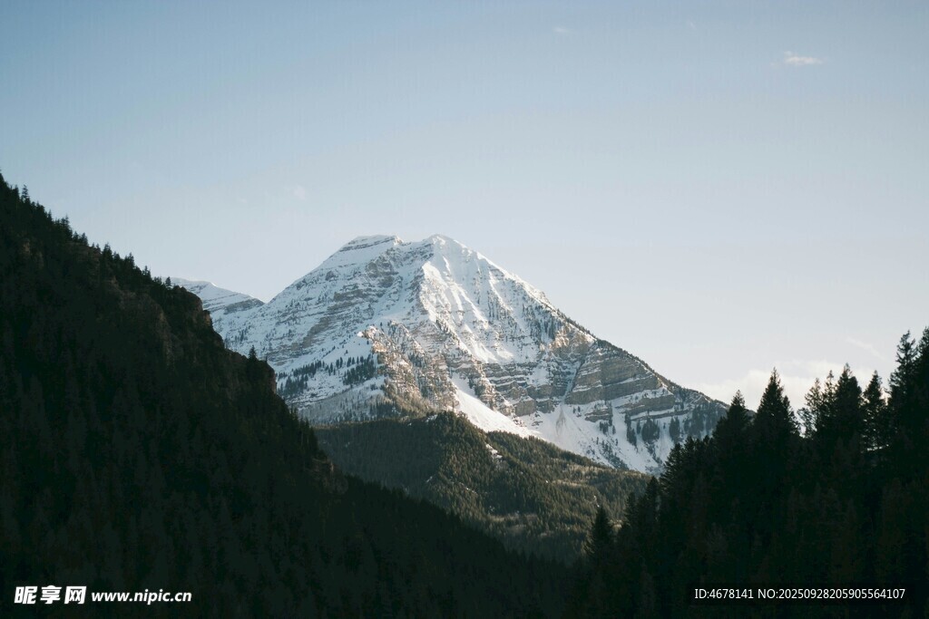 雪山森林美景
