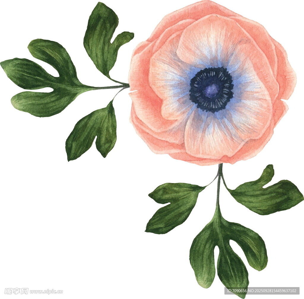 粉色花朵與綠葉插畫
