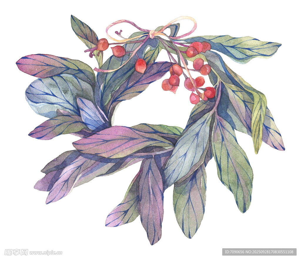 手繪彩色植物枝葉與紅果