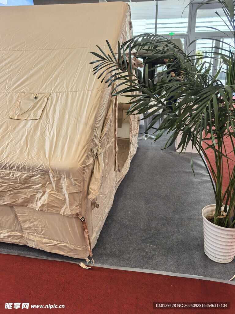 室內(nèi)床墊旁的綠植盆栽