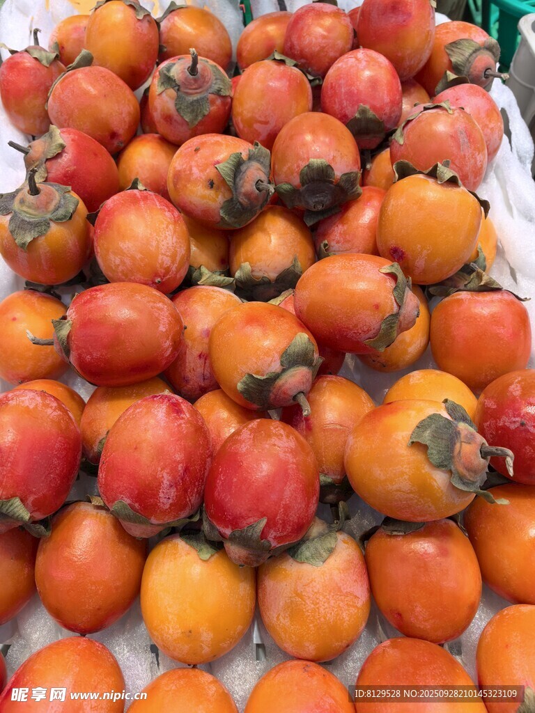 新鮮飽滿的柿子堆成小山