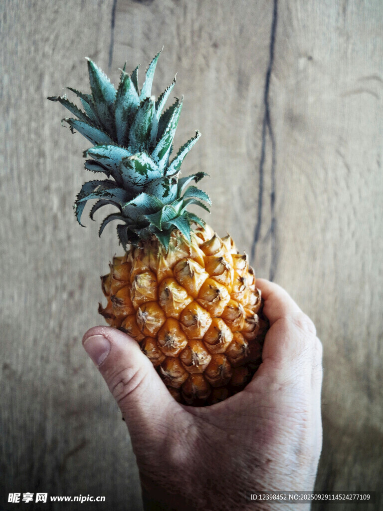 手中的新鮮菠蘿