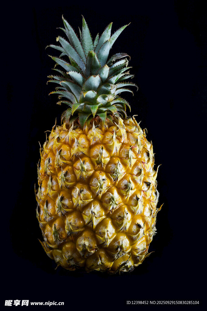 金黃飽滿的新鮮菠蘿