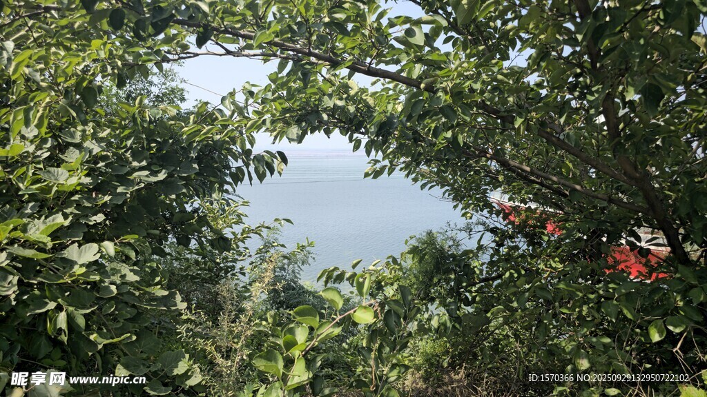 林間綠意 窺見天空一角