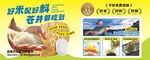 海報(bào) 壽司 食品 宣傳單 美食