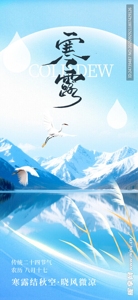 寒露海報
