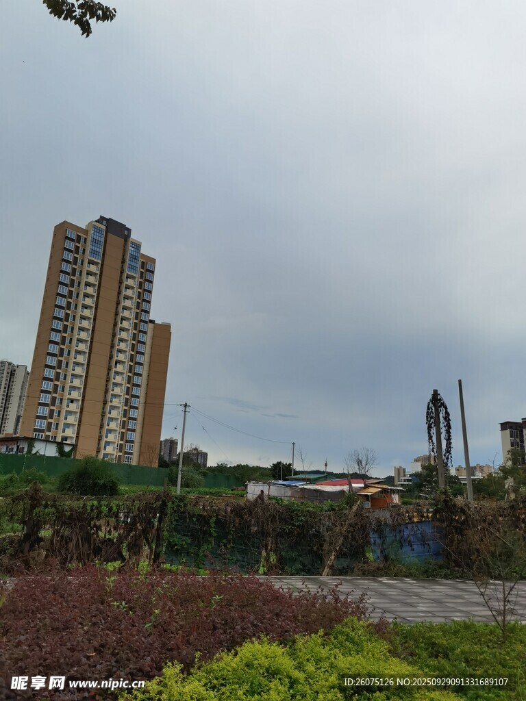城市景觀中的高樓與綠植