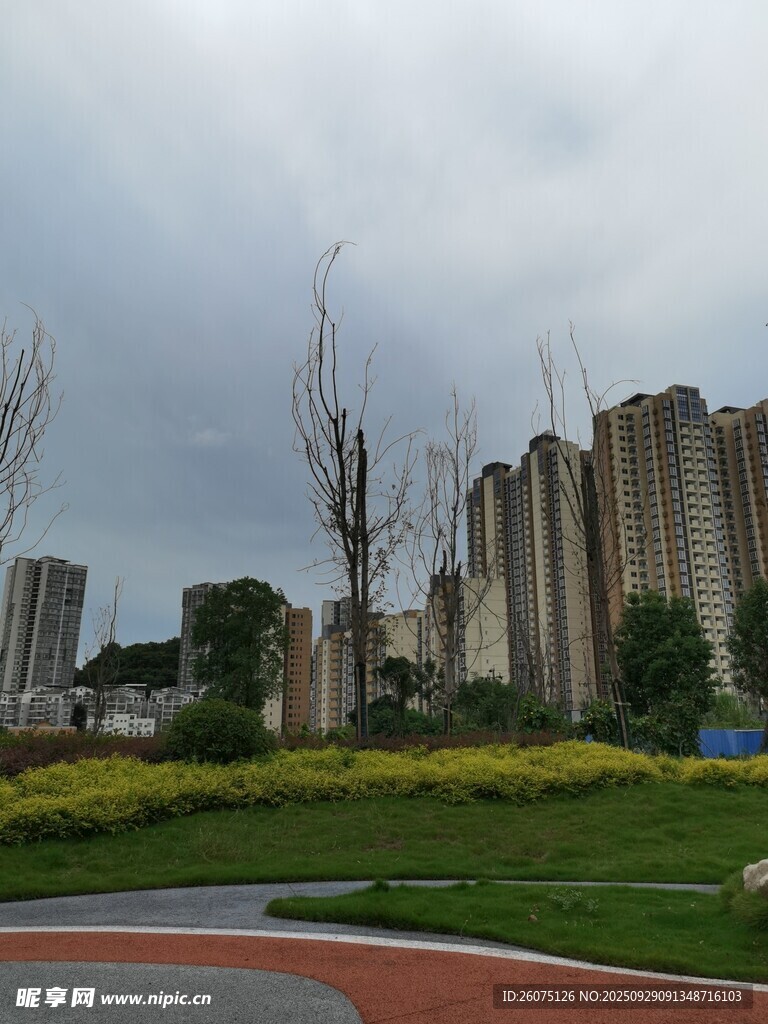 城市綠地旁的高樓景觀