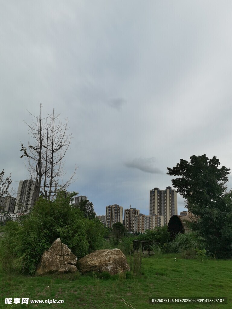城市綠地中的樹木與石塊