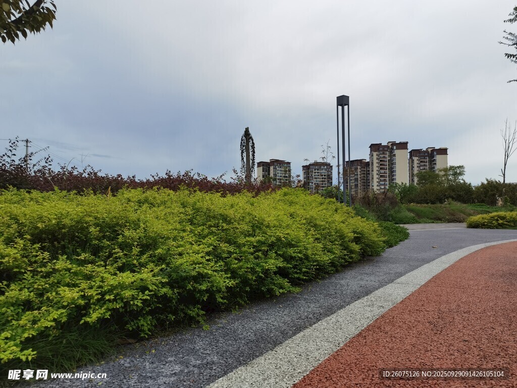 城市綠地旁的多彩步道