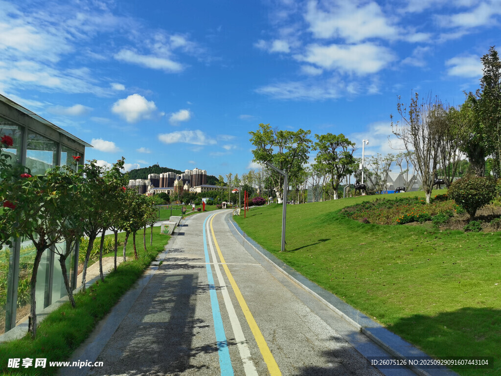 城市中的清新林蔭步道