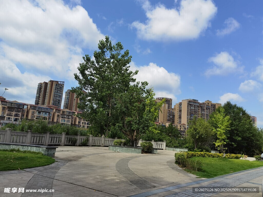 城市中的開闊綠化景觀