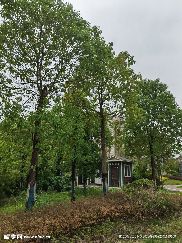 林間小屋靜謐自然景致