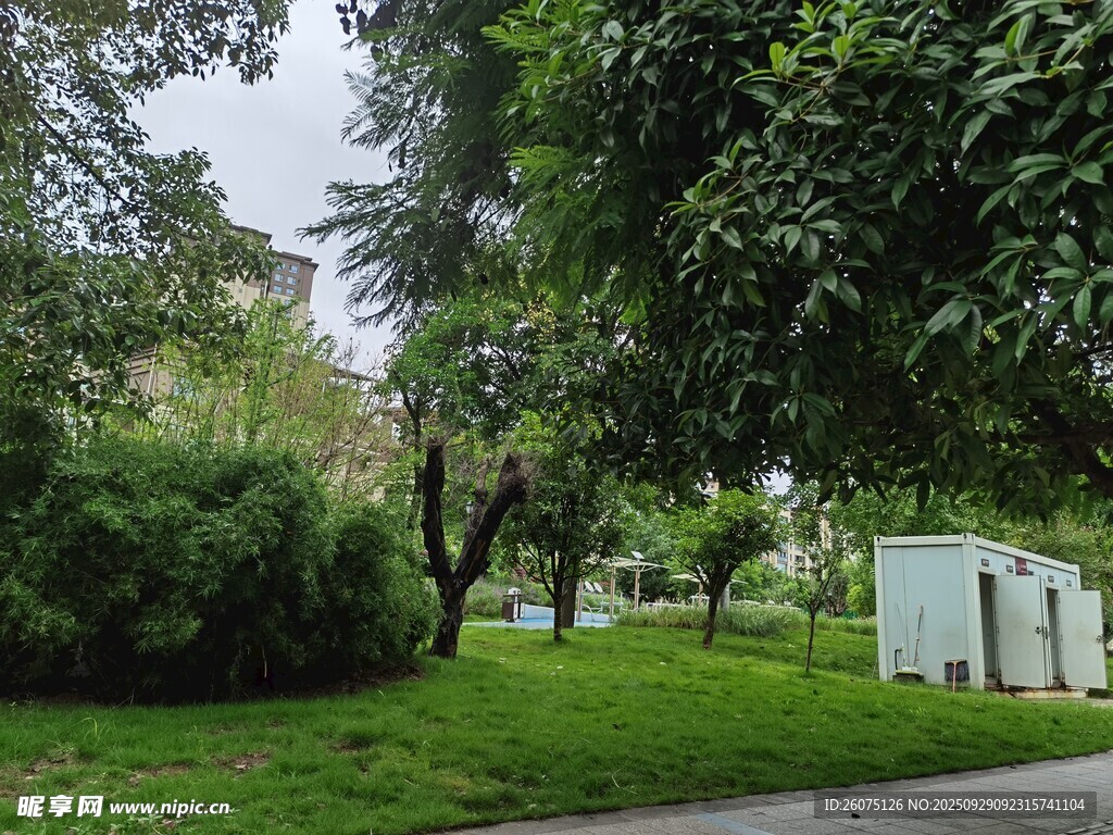 綠意盎然的公園景致