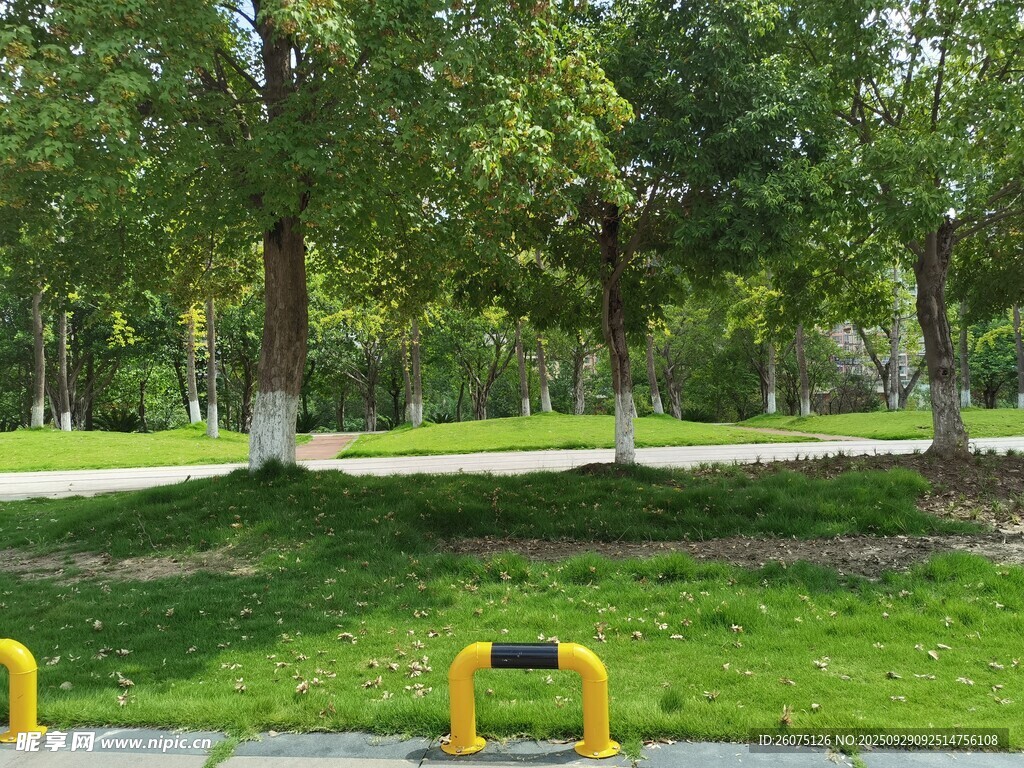 公園綠意景觀