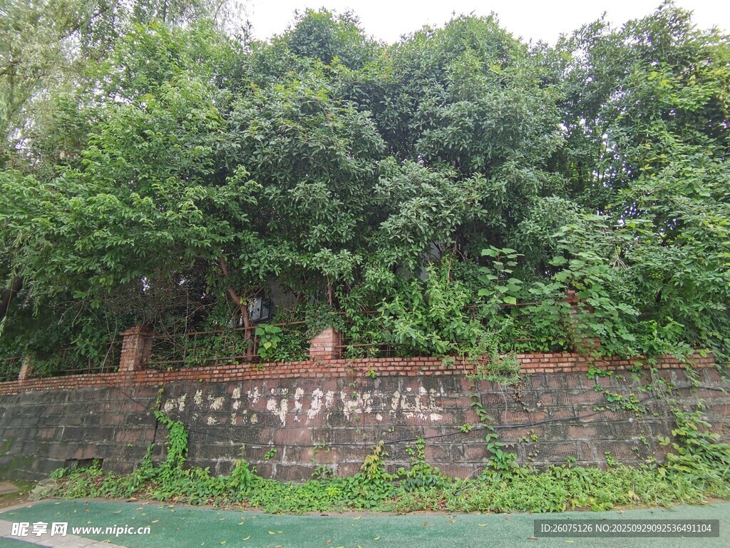 綠樹環(huán)繞的石墻景觀