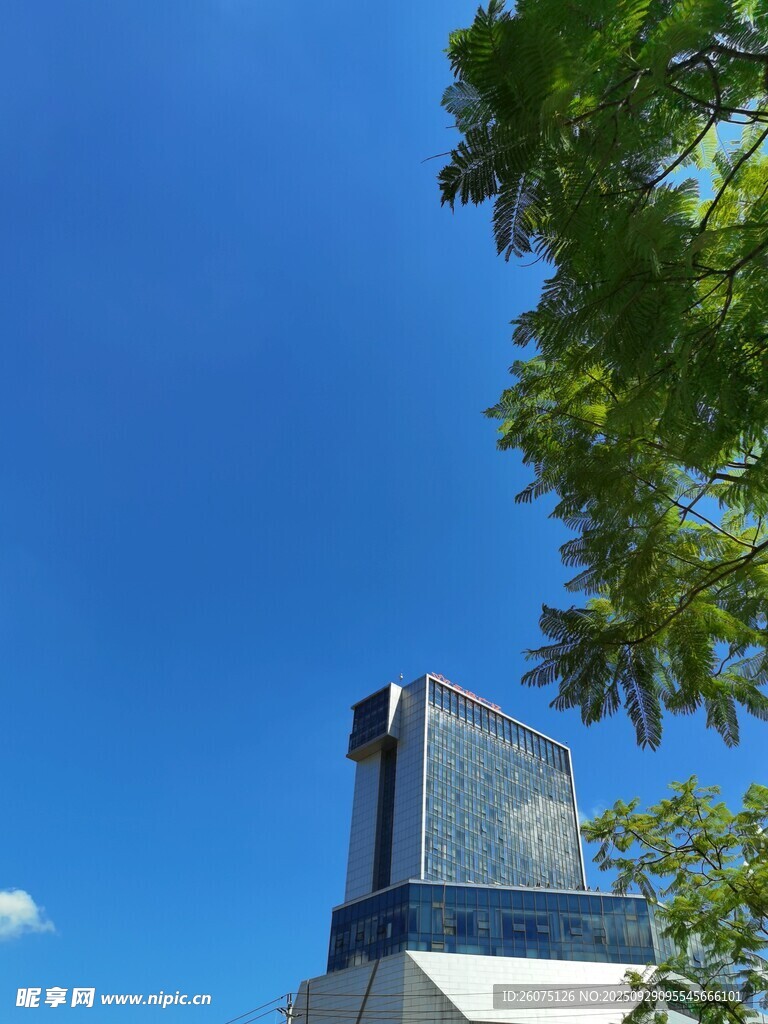 藍(lán)天綠樹旁的現(xiàn)代建筑