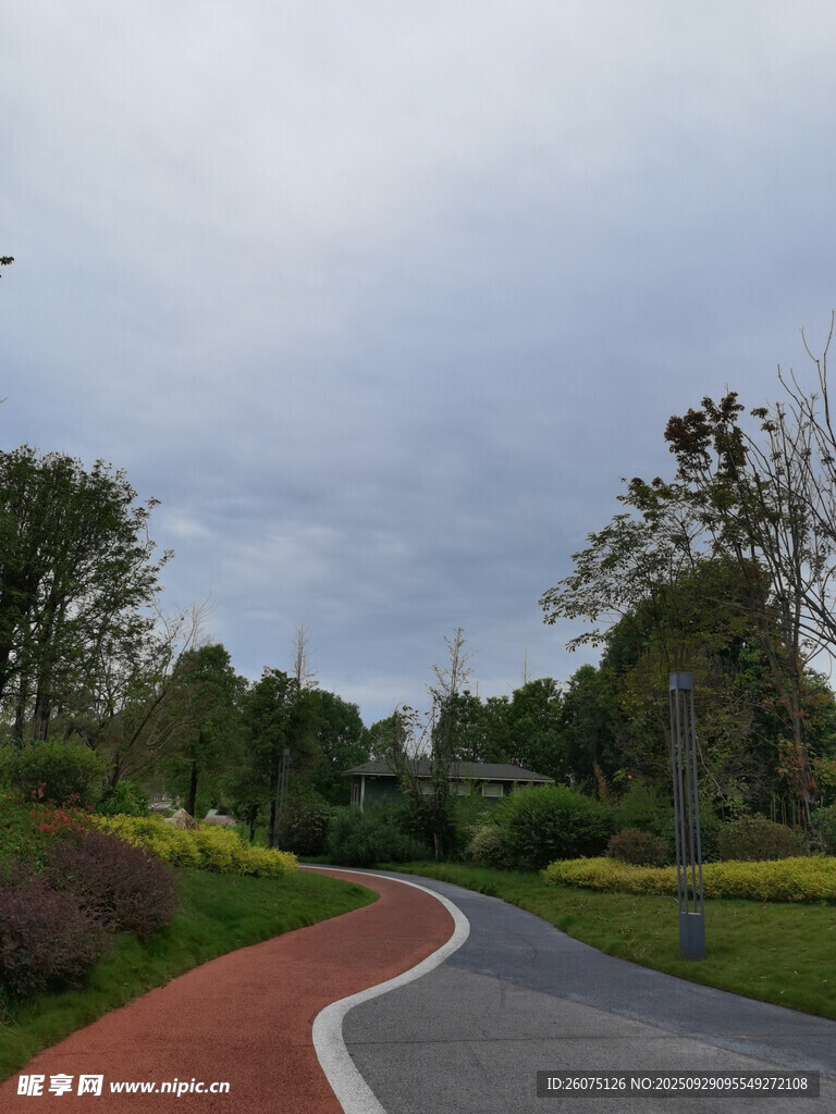 蜿蜒多彩的林間騎行小路