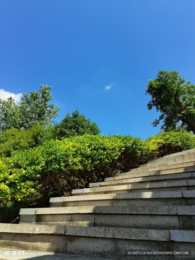 石階旁綠意盎然的景致