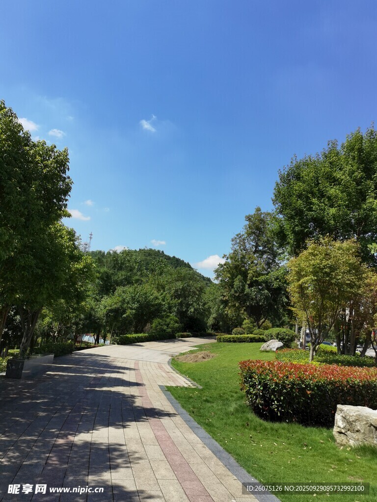 美麗的林蔭小道景觀