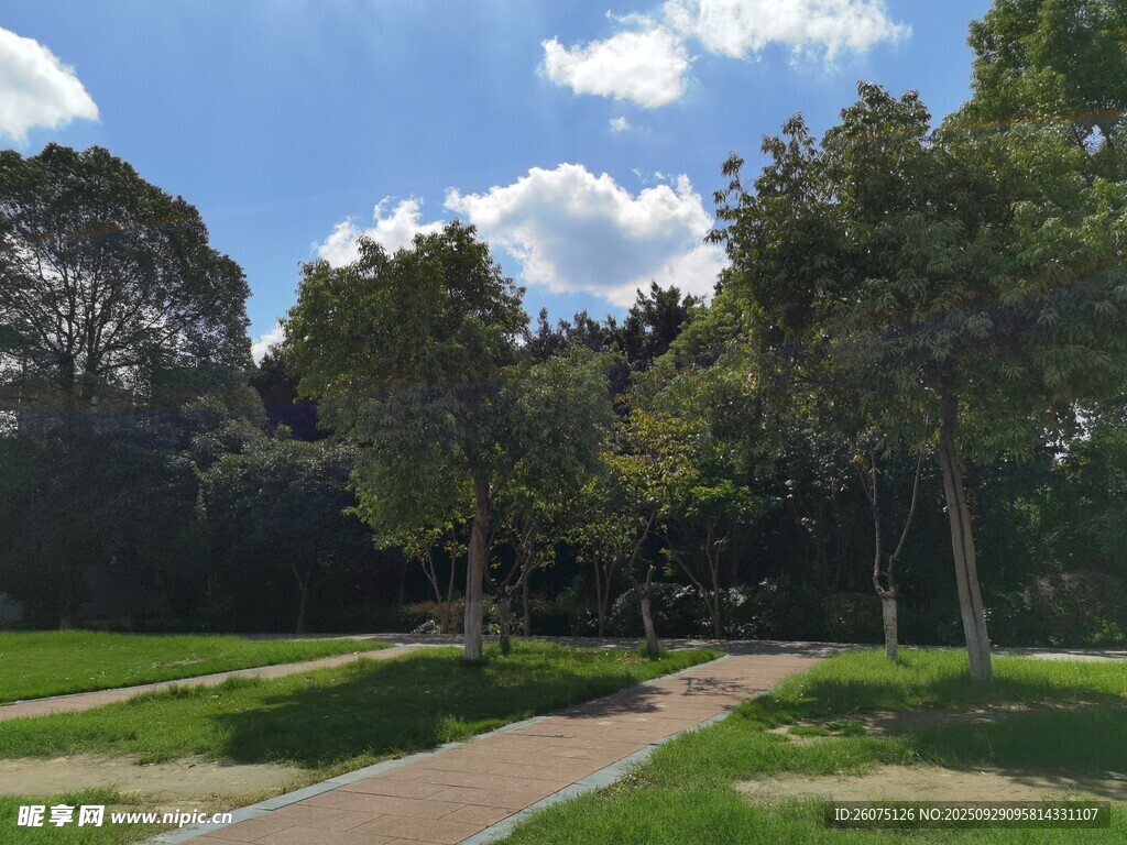 公園綠蔭下的寧靜小路