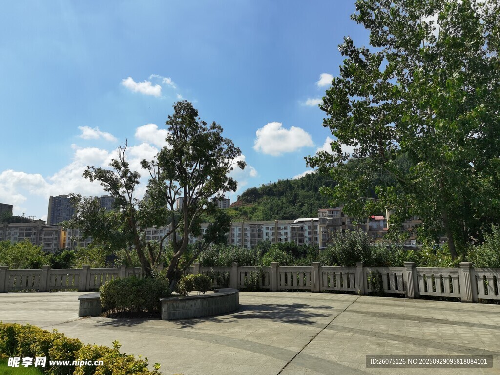 戶外開闊的綠植景觀區(qū)域