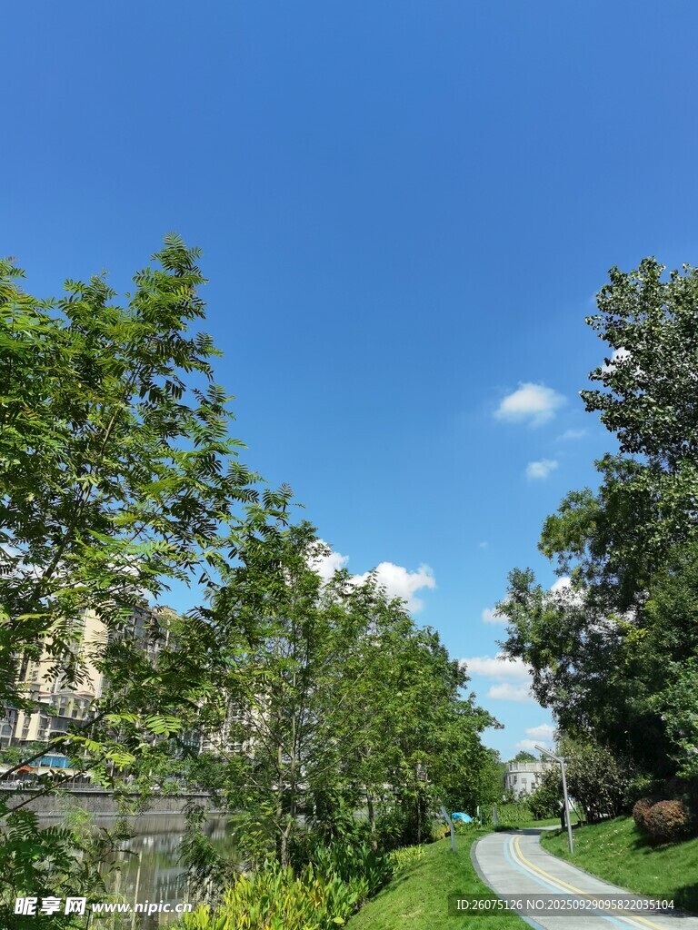 林間小路暢享自然清新