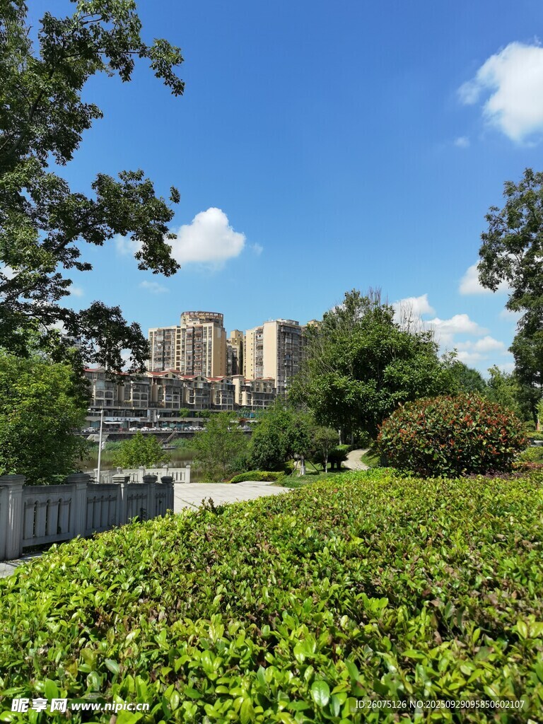 城市綠植景觀與遠(yuǎn)處建筑