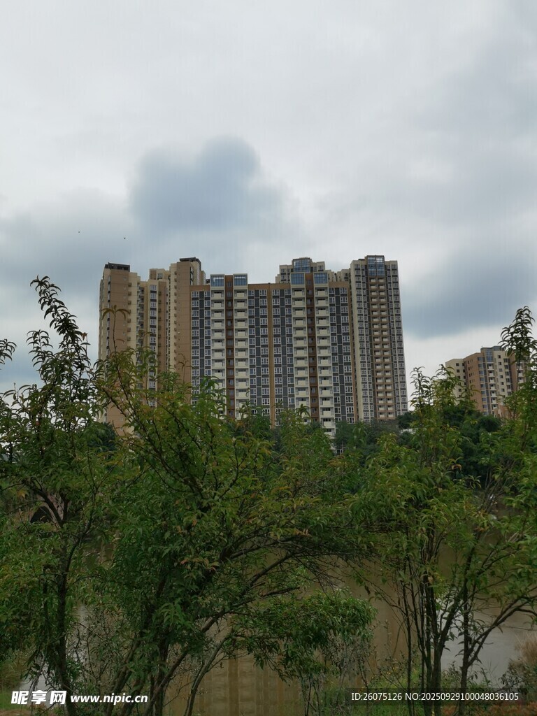 城市高樓與綠樹景觀
