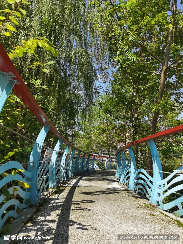 藍(lán)紅圍欄間的林蔭小道