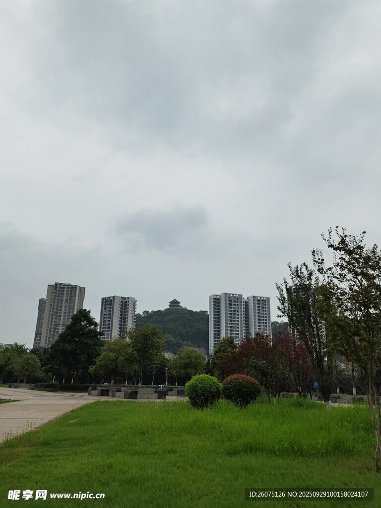 城市綠地旁的高樓景觀