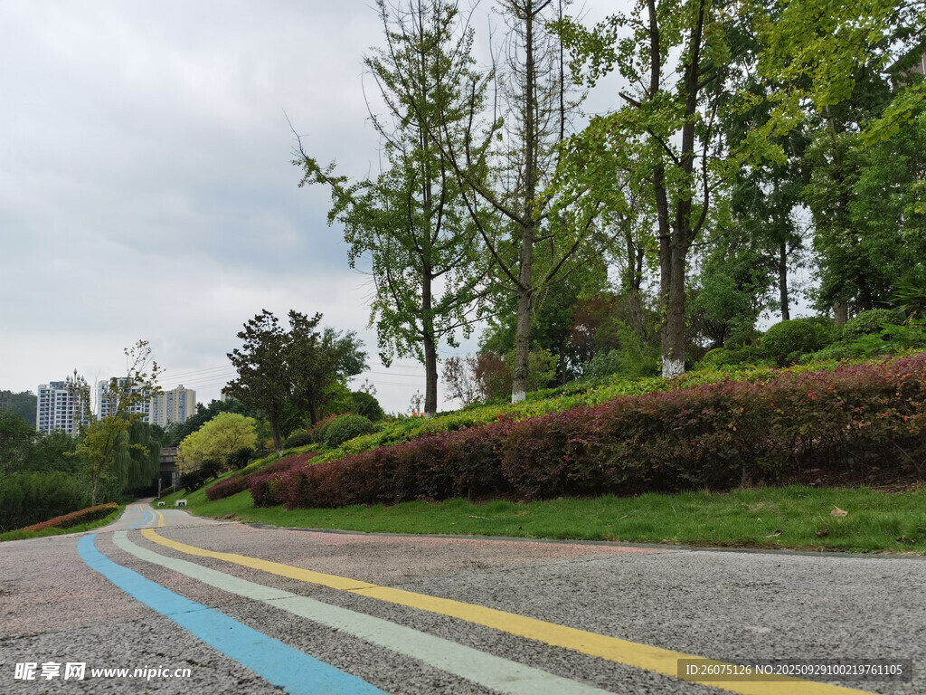 彩色公路旁的蔥郁綠植